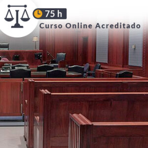 Curso El procedimiento abreviado en la jurisdicción penal