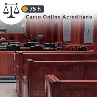 75 horas - El procedimiento abreviado en la jurisdicción penal