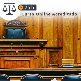 Curso El procedimiento ordinario de la jurisdicción penal